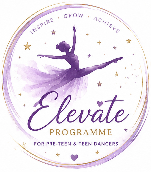 Elevate Programme Logo